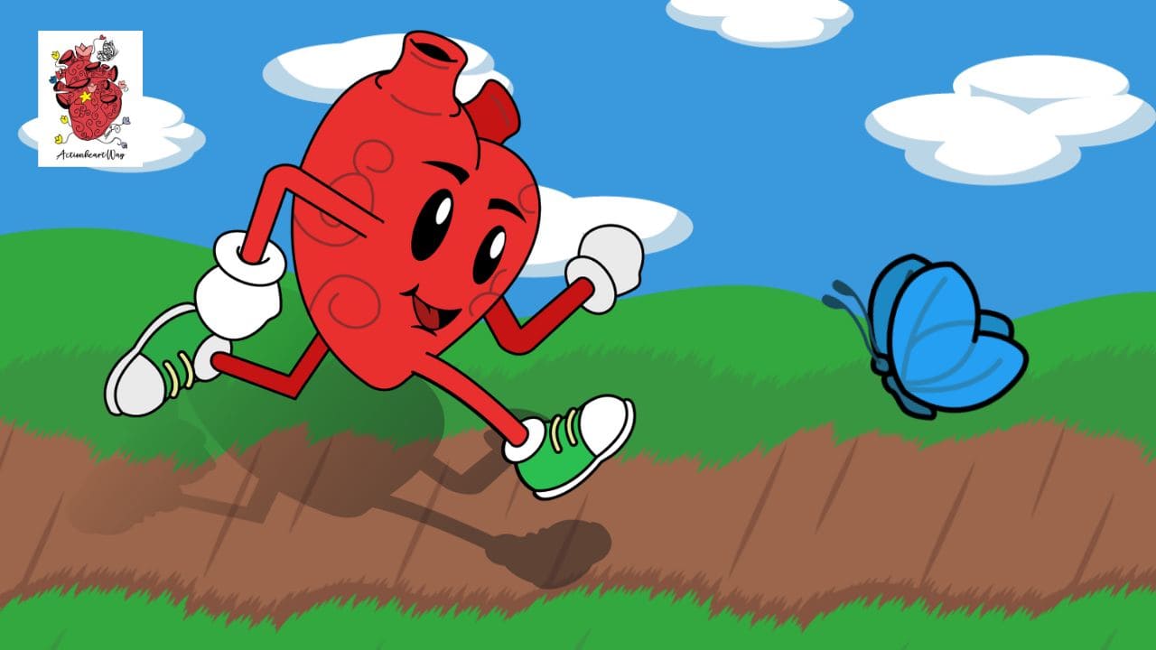 O caminho do coração